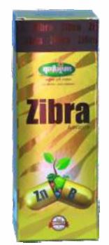 Zibra